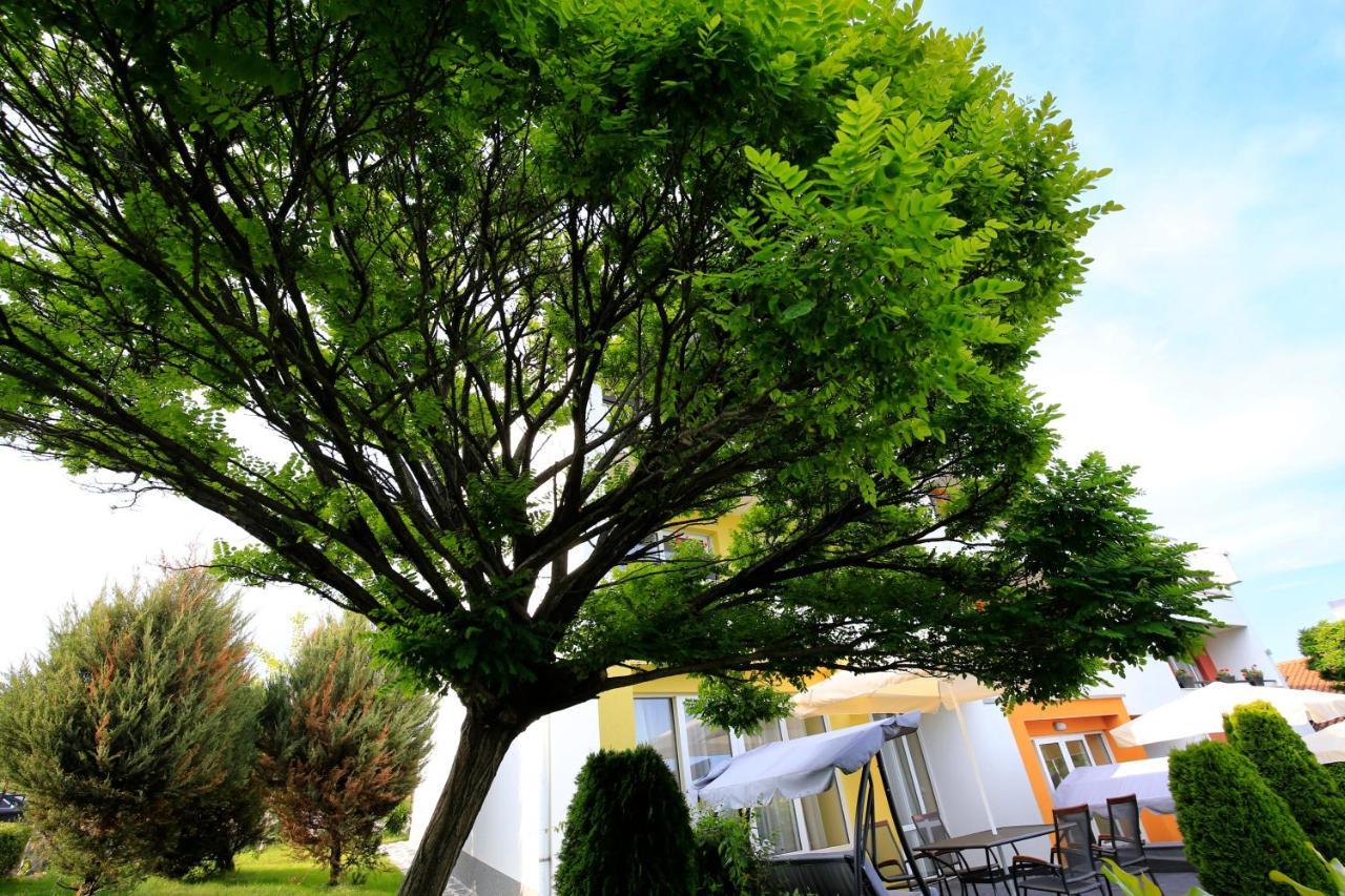 Stayinn Rainbow Houses Beachfront By Asteri Hotels Sluneční pobřeží Exteriér fotografie